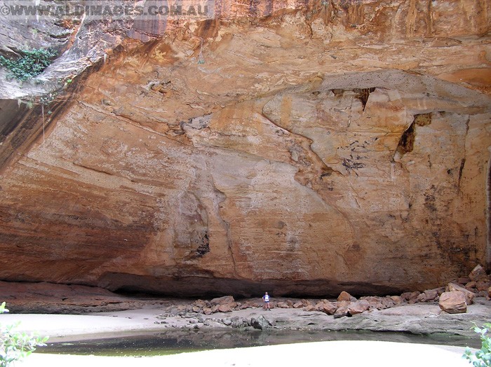 678x501 pixels (228K)